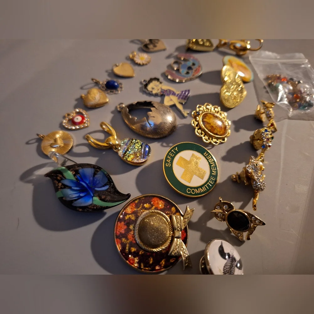 Pin/Charm Lot - Picture 7 of 8